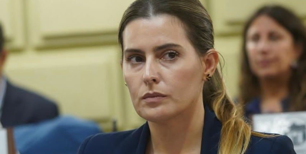 Cattalini solicitó al Consejo de la Magistratura suspender al juez federal Salmain