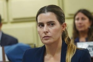 Cattalini solicitó al Consejo de la Magistratura suspender al juez federal Salmain.