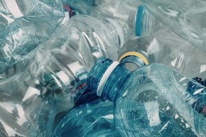 Los científicos lograron "programar" un microorganismo para que consuma los componentes químicos del plástico y los procese metabólicamente.