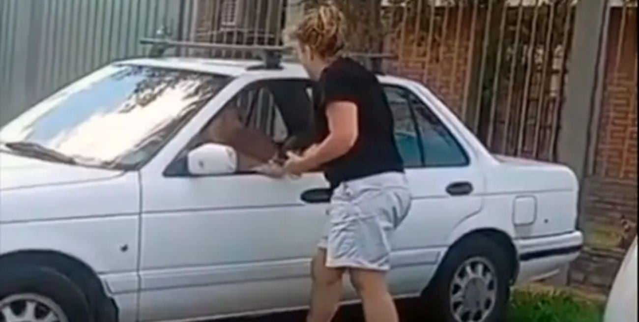 Paraná: una insólita pelea por la sombra de un árbol terminó en escándalo