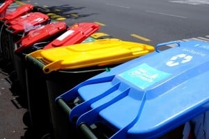 El objetivo principal de esta fecha es reorientar el comportamiento ciudadano y gubernamental hacia la regla de las "3R": Reducir, Reutilizar y Reciclar.