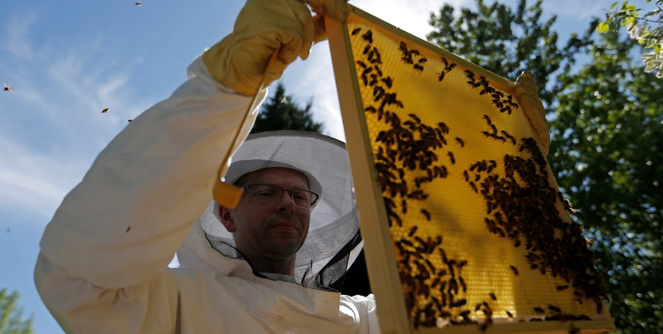 La Expo Maciá ya tiene todo listo para su 29° edición