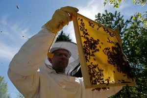 El sector apícola dirá presente en la muestra