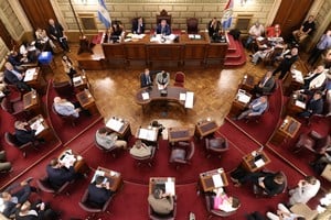 El trabajo fue declarado "De interés" por la Cámara de Senadores de la Provincia de Santa Fe.