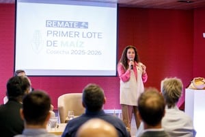 Puntapié inicial para el maíz: Arcor pagó medio millón por la primera partida