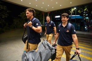 Algunos Capibaras entrando al hotel en Chile. Fernando Nicola.
