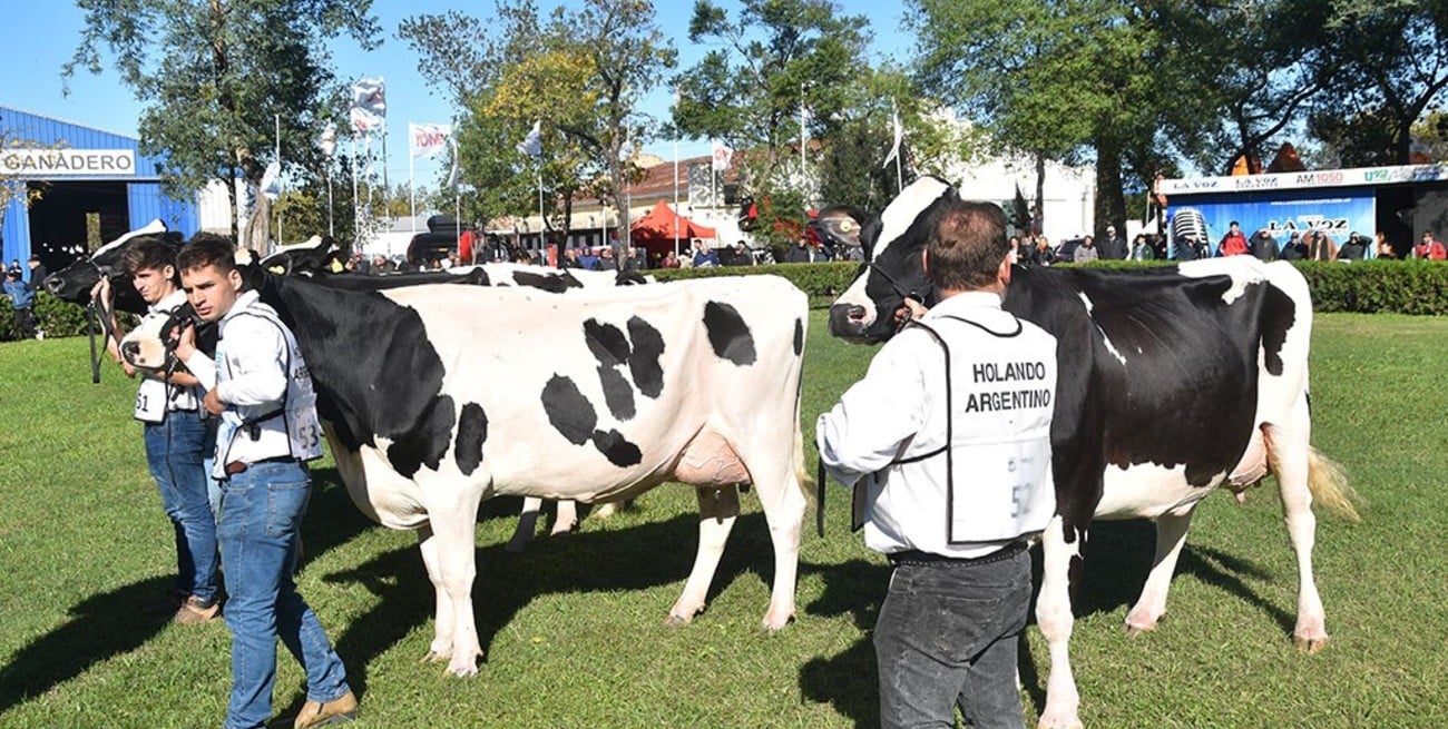 De Wisconsin a San Francisco: Brian Coyne será el encargado de consagrar a las mejores vacas lecheras del país

