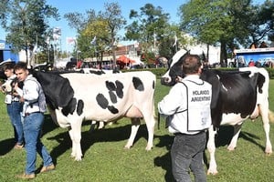TodoLáctea 2026: Un jurado de élite internacional para la pista de San Francisco
