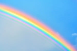 Celebrar el Día del Color es, en definitiva, celebrar la diversidad del espectro visible