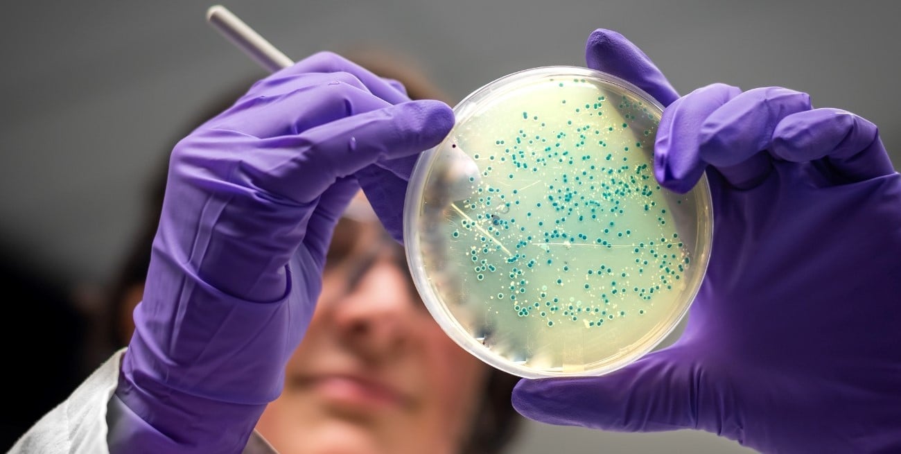 Científicos reactivaron un virus de 48.500 años hallado en Siberia