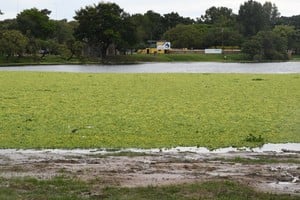 El presidente del Club Náutico El Quillá sigue de cerca la situación del lago. Flavio Raina.