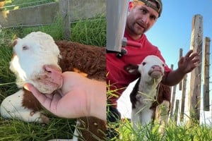 Raquel junto a su veterinario, la dupla viral en redes que cautivó hasta a David Bisbal.