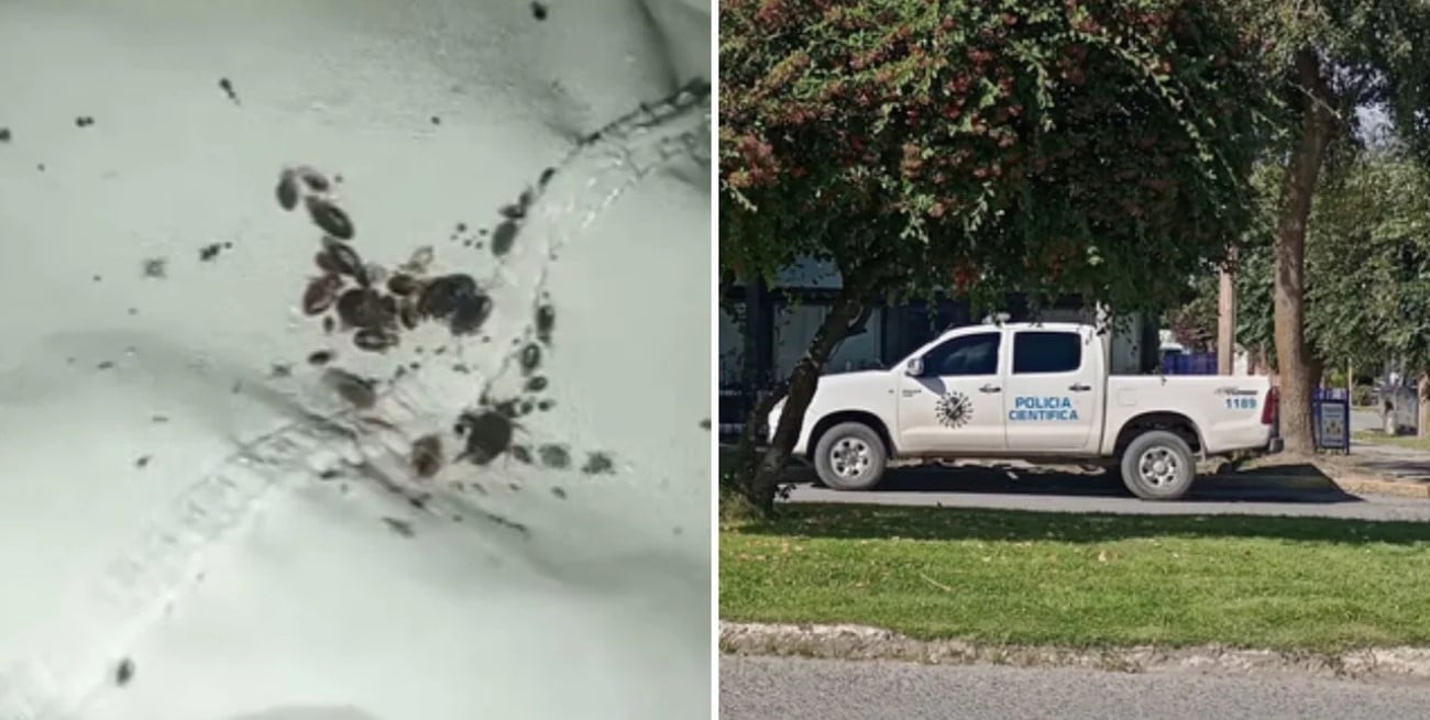 Clausuraron un hogar de ancianos en Chubut por condiciones insalubres