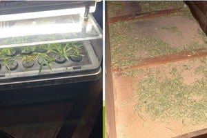 El procedimiento se concretó en una vivienda ubicada en 9 de Julio al 3000. Foto: Gentileza