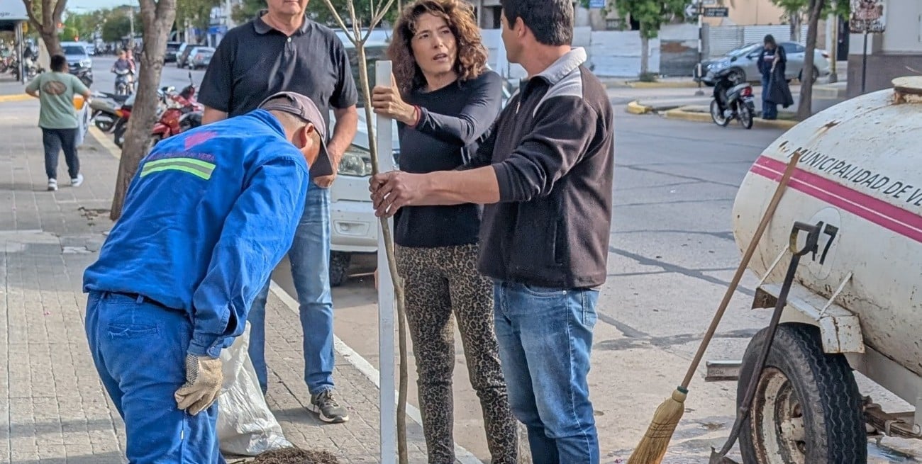 Vera impulsa un plan de forestación urbana con participación de instituciones locales