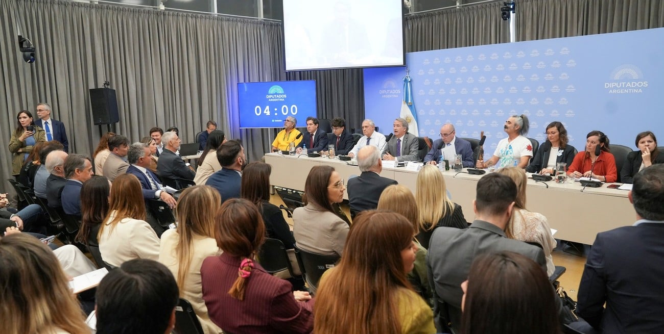 Casi 200 expositores opinan en forma presencial sobre la Ley de Glaciares
