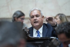 Farías reclamó que el corte de biocombustibles sea “pensado a mediano y largo plazo”.