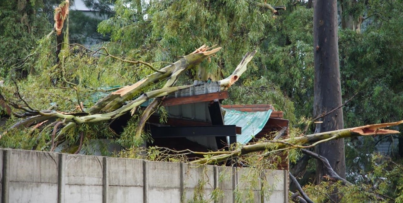 Confirman la muerte de una vecina y la llegada de asistencia tras el devastador tornado en Bombal