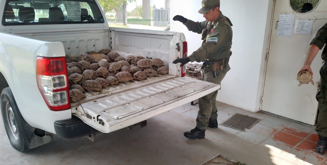 Santa Fe endurece multas por delitos contra la fauna y refuerza su política de conservación