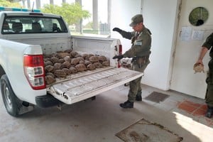 Santa Fe impulsa políticas de conservación con sanciones, prevención y rehabilitación de especies.