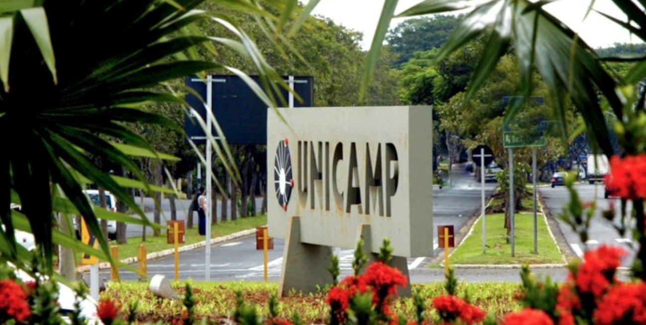 Brasil: cómo sigue la causa contra la científica argentina acusada de robar virus