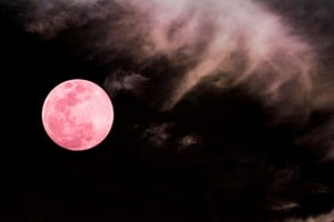 La llamada "luna rosa" será visible durante toda la madrugada.