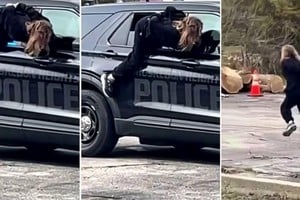 Una mujer esposada escapó por la ventana de un patrullero en Michigan.