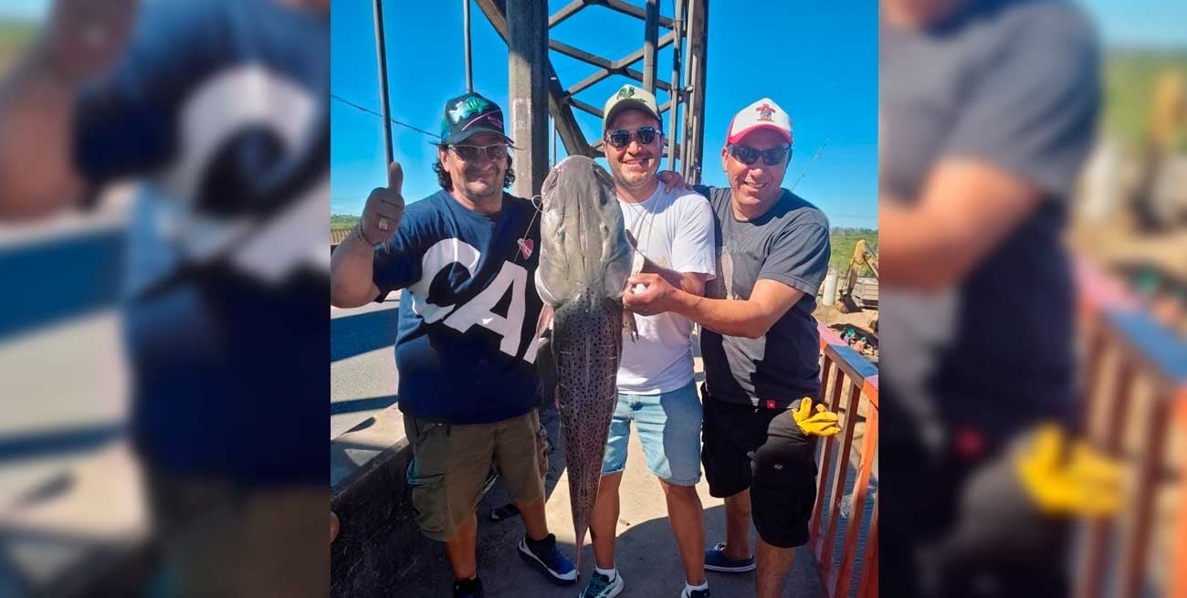 Por qué aparecen grandes ejemplares de surubí en el río Salado: las explicaciones de un especialista