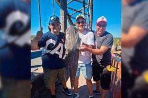 Pescadores registraron capturas de surubíes de tamaño considerables desde el puente carretero.