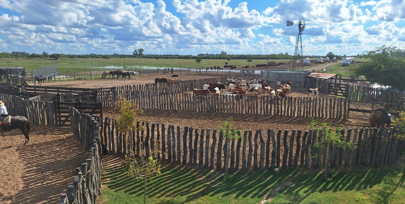 Entre caballos y costumbres: Huellas de Tradición consolidó su sexta edición en Coronda