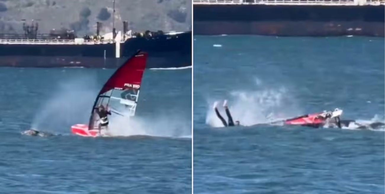 Insólito accidente: practicaba windsurf, impactó contra una ballena y voló por los aires