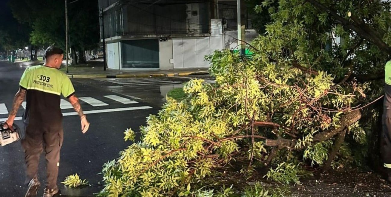 Alerta amarilla en Rosario: lluvias sostenidas y múltiples incidentes por árboles caídos