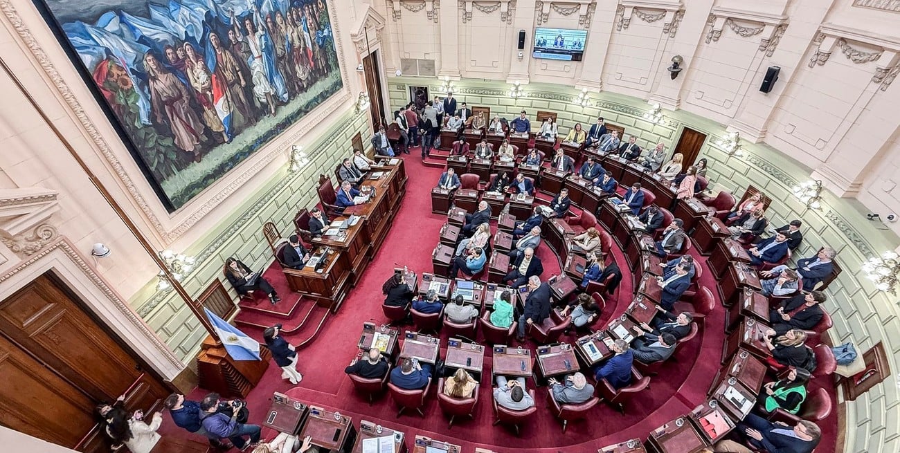 Reformas a las leyes de seguridad pública: bisturí sí, motosierra no