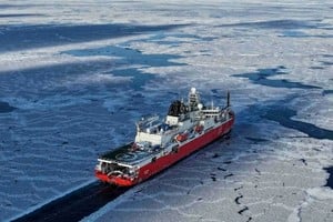 La expedición registró más de mil nidos de peces sobre el fondo marino del mar de Weddell.