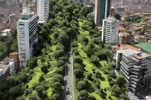 Árboles urbanos: reducen la temperatura del aire, filtran partículas contaminantes y mejoran la calidad del espacio público.