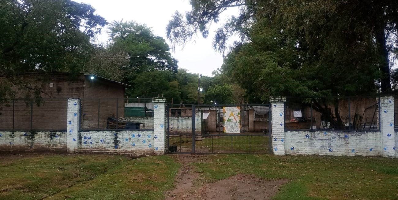 Violento robo en el refugio de la Protectora de Animales de Santa Fe