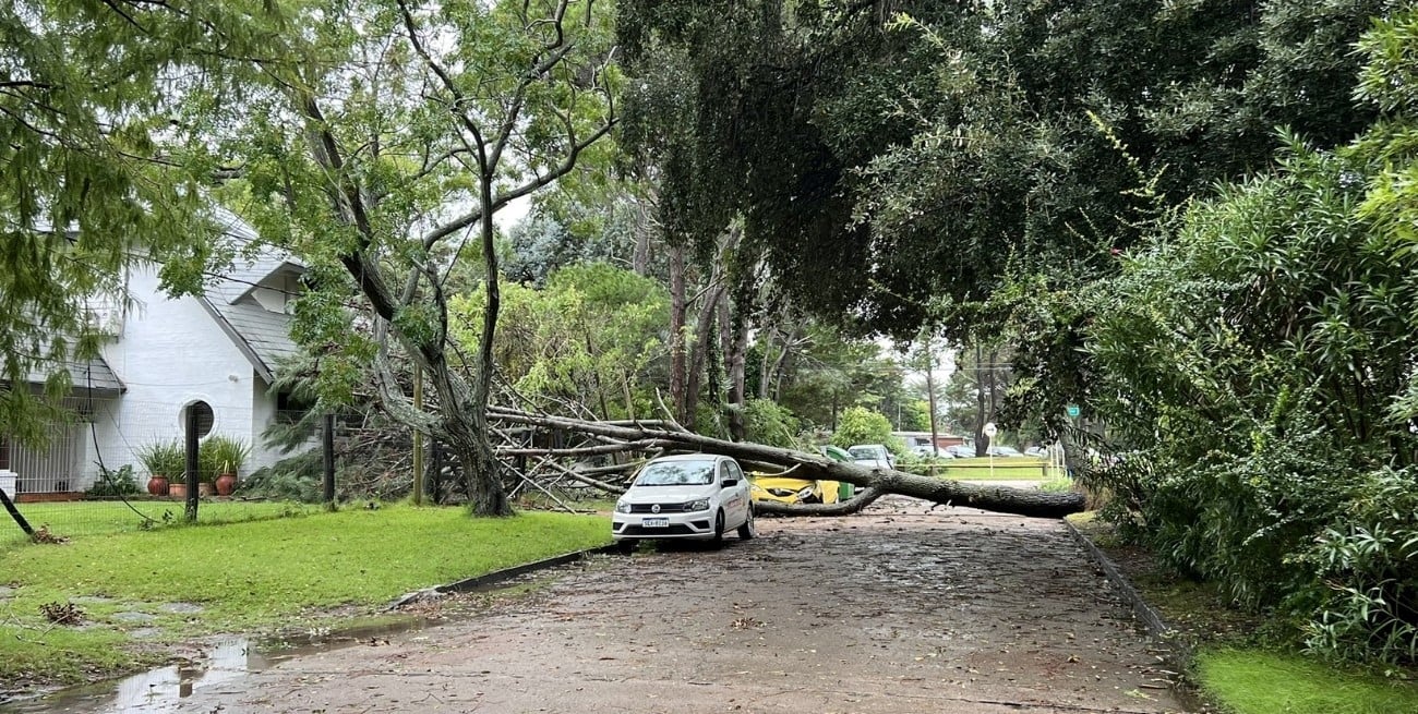 Ciclón extratropical en Uruguay: vientos intensos causaron daños, cortes de luz y un fallecido