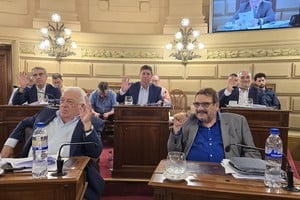 El proyecto sostiene la vigencia de las Primarias Abiertas, Simultáneas y Obligatorias (PASO) como instancia para la definición de candidaturas, y establece la boleta única de papel para todas las categorías de cargos electivos