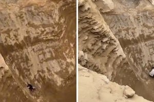 El animal cayó a un abismo de más de 50 metros y quedó atrapado en una zona de muy difícil acceso.