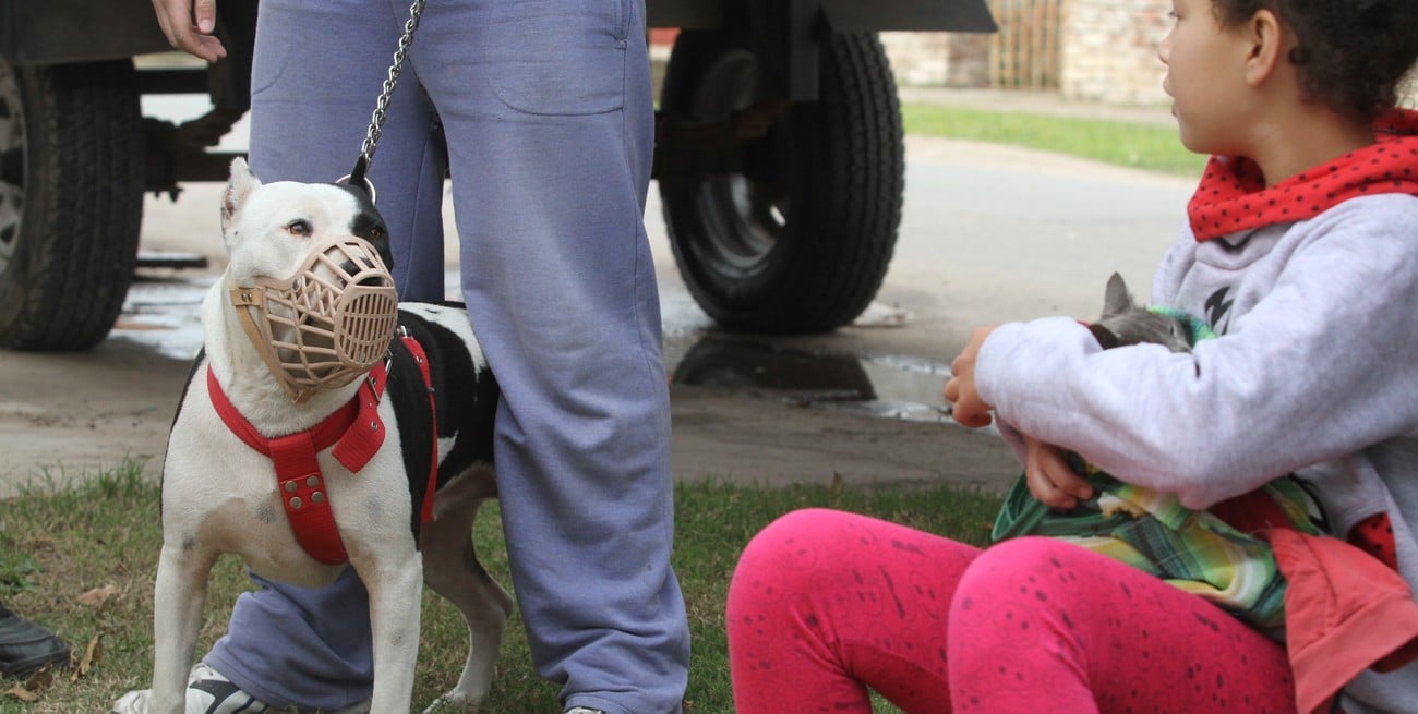 Alicia Lavernia: “No hay razas peligrosas, hay perros que pueden serlo”