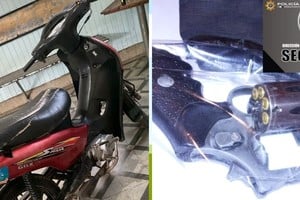 Los procedimientos se originaron por avisos al 911. Foto: Gentileza