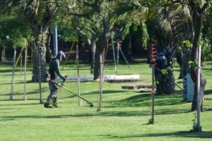 Todos los días. El corte  del césped y el daño a los árboles.  Foto: Flavio Raina