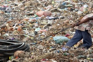 Informe de la Sociedad Argentina de Pediatría (SAP)