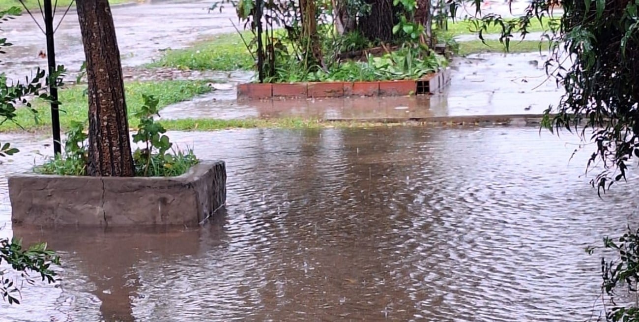 Barrio Las Delicias: denuncian que las zanjas obstruidas transforman las calles en una laguna