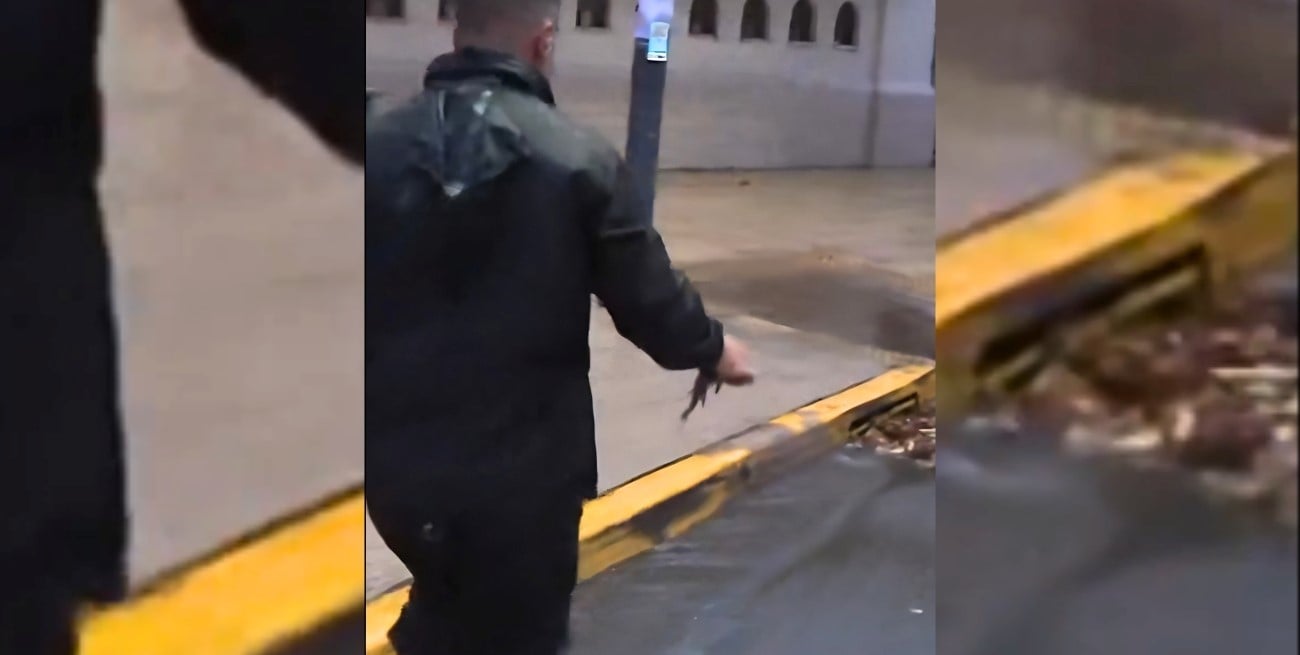 Es viral: un movilero "salvó" a un pez que apareció en pleno Buenos Aires tras la tormenta