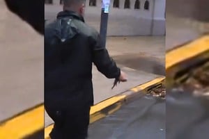 El rescate viral de un pez en medio de la tormenta en Buenos Aires.