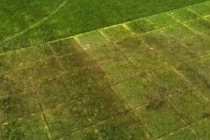 Bajo la lupa Las huellas de los shows: el estado del césped del Monumental es la gran duda para el Superclásico