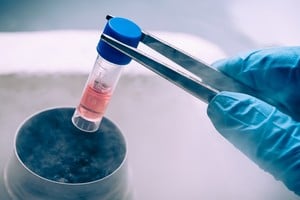 Técnica que permite generar células capaces de producir insulina