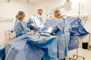 Este tipo de intervenciones representa una alternativa terapéutica relevante en el ámbito público. Imagen ilustrativa