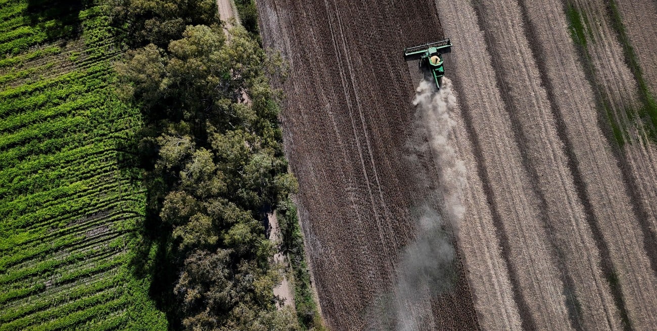 Asediada por lluvias, la cosecha de soja ya lleva 30 puntos de atraso